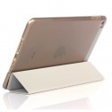 iPad Mini 1-3